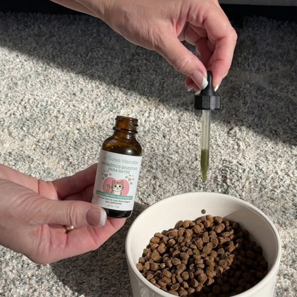 Gonva Probioticos para Gatos