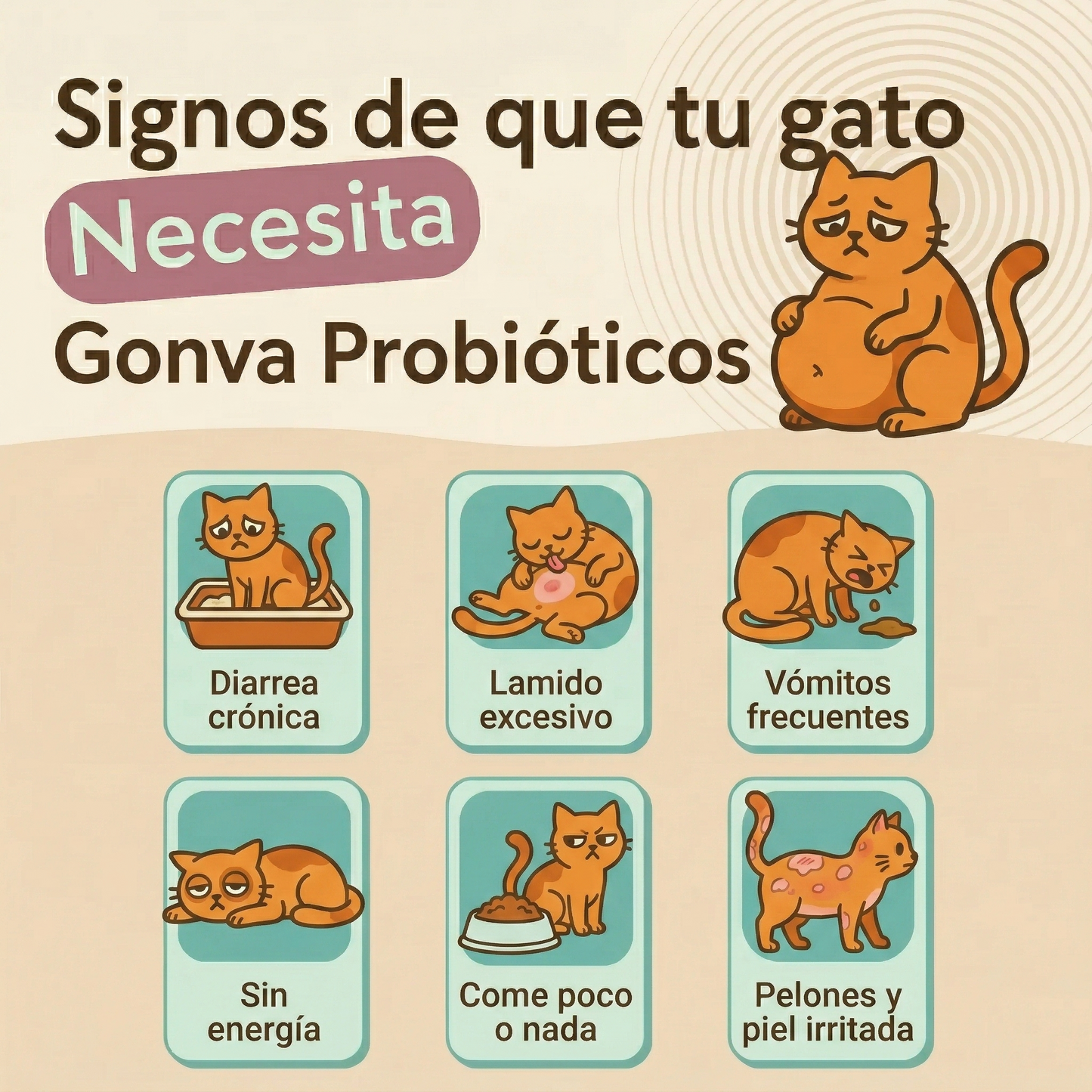 Gonva Probioticos para Gatos
